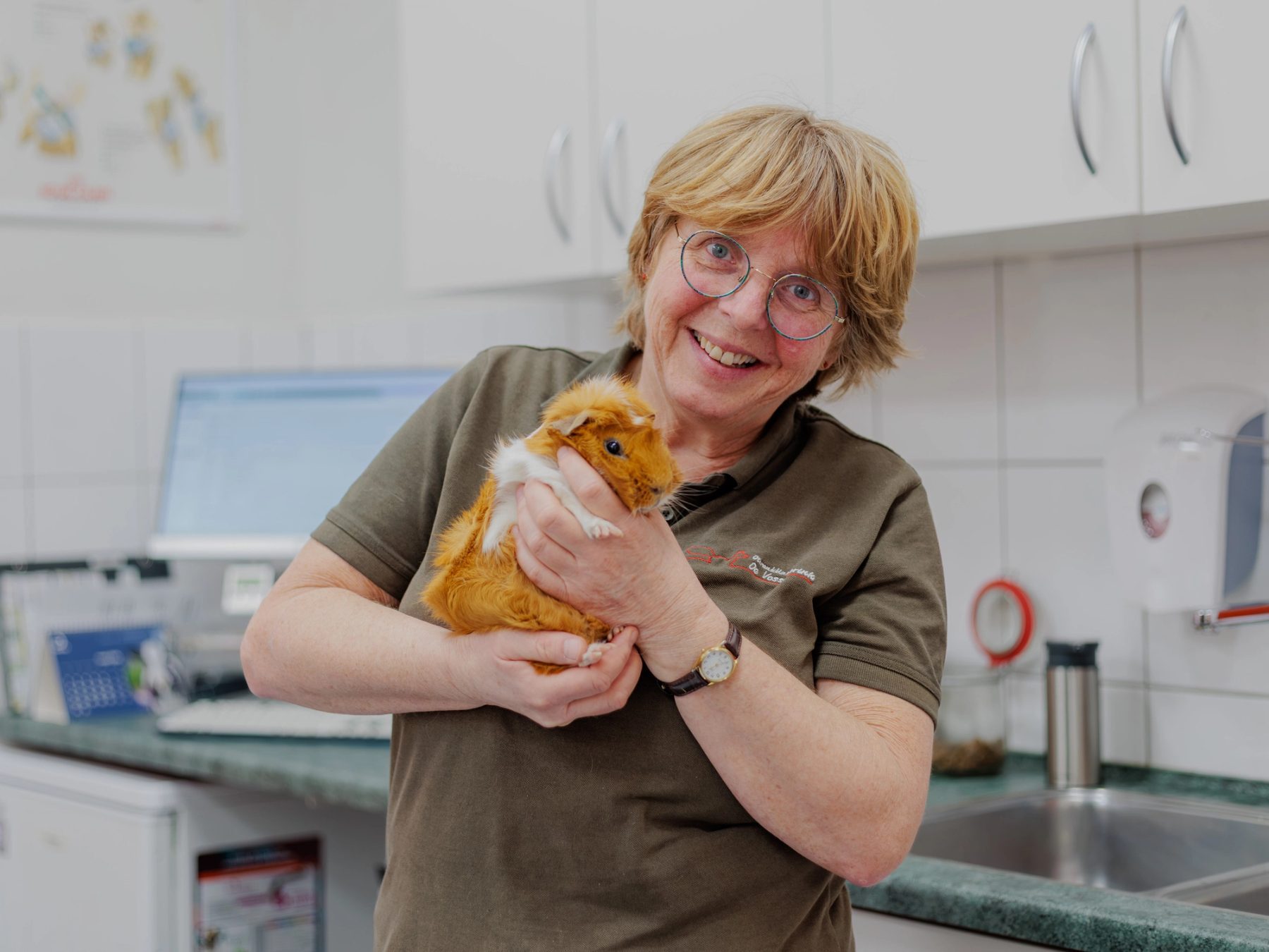 Dierenarts met een cavia