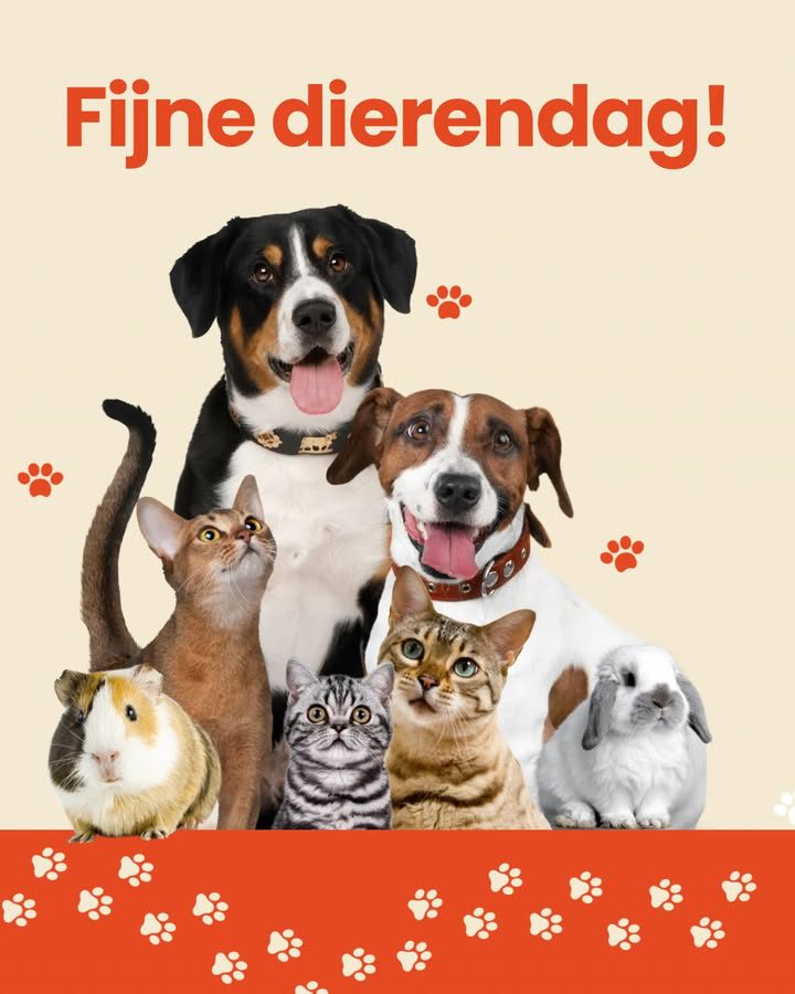 Instagrampost: fijne dierendag