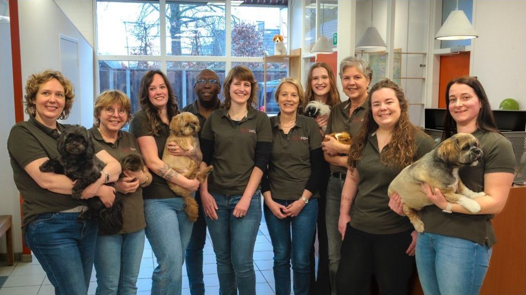 Het team van Dierenkliniek de Vossenbrink met een aantal dieren
