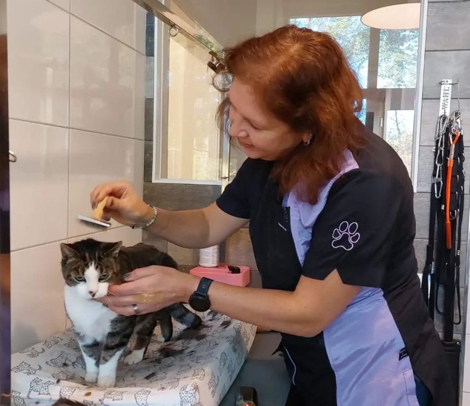 Trimster borstelt een kat in de trimsalon
